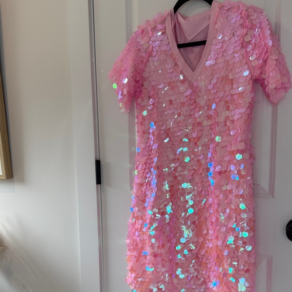 Pink Sequin Dress - Picture 5 of 5